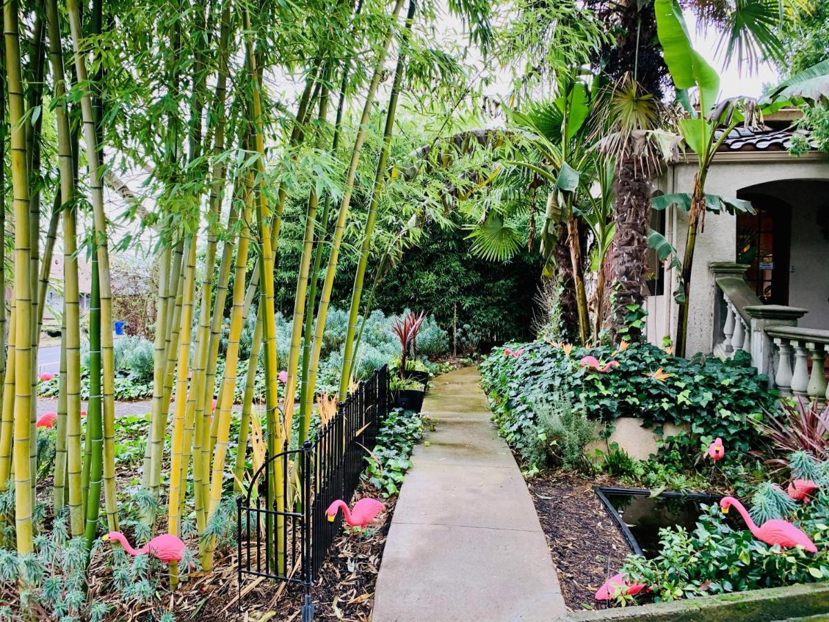 The Tropical Hi Hostel